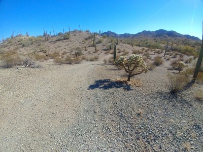 A few of the fun, small hill climbs along Into The Vortex. Looking south towards the Little Ajo Mountains in the distance.
