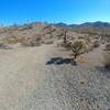 A few of the fun, small hill climbs along Into The Vortex. Looking south towards the Little Ajo Mountains in the distance.