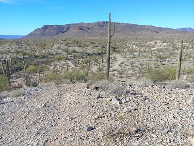 Looking back north from the top of the hill on the south end of Into The Vortex trail.