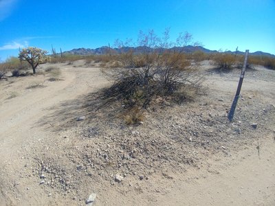 Western terminus of F-Road Cutoff (8112F), as viewed from main road (Rasmussen Road Extended / 8112) looking south towards the Little Ajo Mountains on the horizon.
