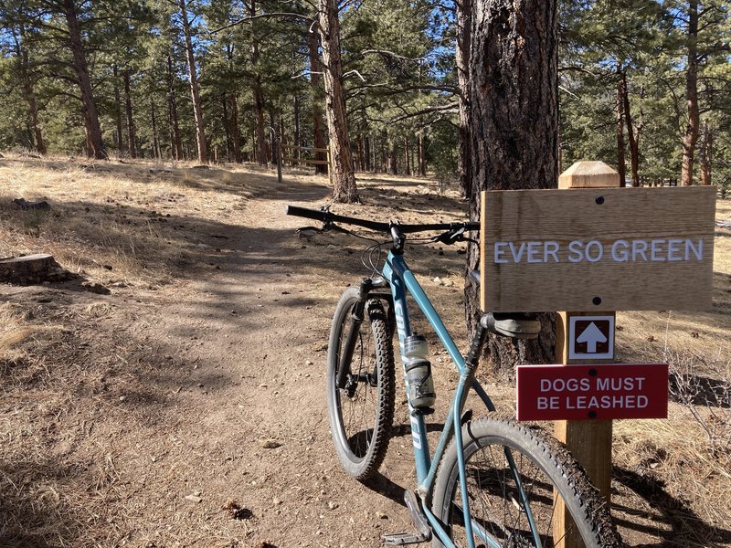 Entering Elk Meadow Open Space Park from a new access point.