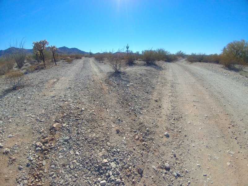 Northern terminus of another trail (missing trail marker) heading south off of the main road (Rasmussen Road Extended / 8112).