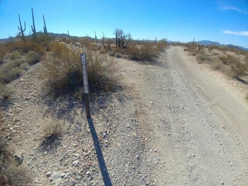 Northern terminus of the Coyote Leg (8112L, left) from the main road (Rasmussen Road Extended / 8112, center right) looking west.