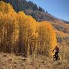 Climbing to Burro Pass.