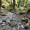 Creek crossed... right before Table Mountain Trail climb.