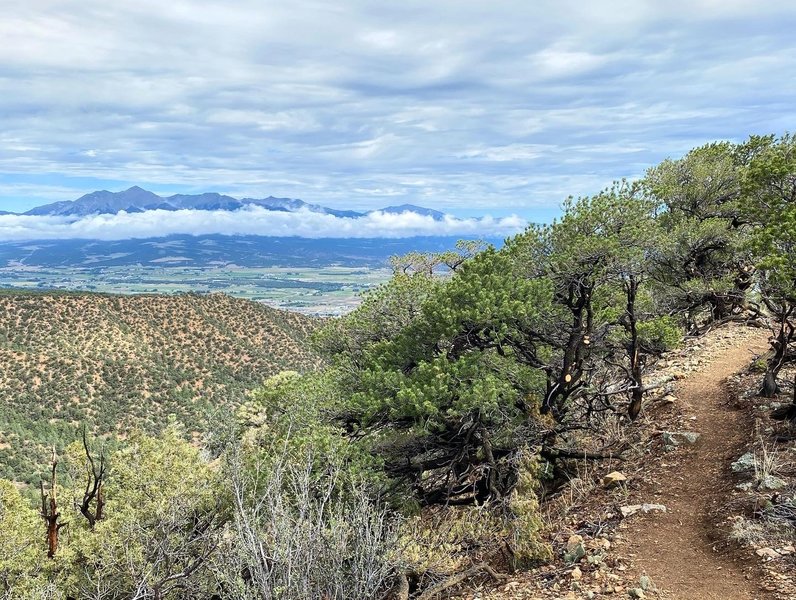 View from the ridge