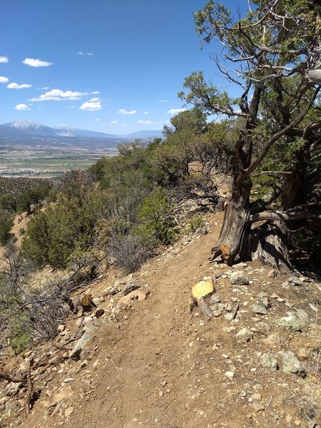 Top of the ridge, looking south