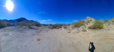 Looking N from the southern terminus of Uta stansburiana (wide-angle panorama).