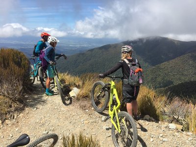 View towards the Grey River Valley