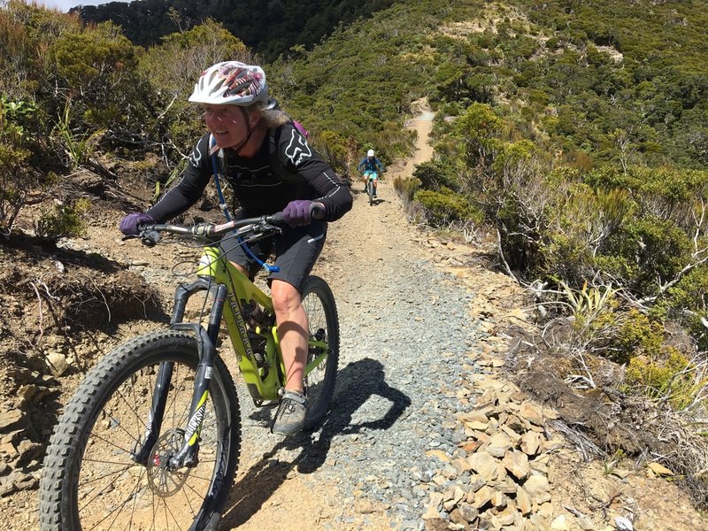 The trail passes through sub-alpine scrub as it nears the top of the escarpment.