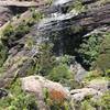 Cranking the neck back to see the top of the waterfall from Waterfall Creek bridge