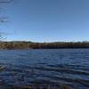 View of the lake on the South Trail.