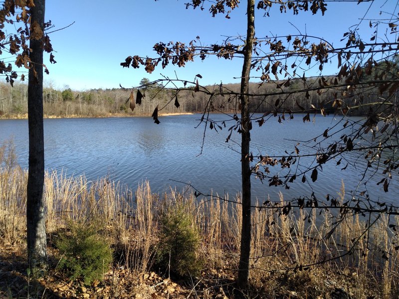 View of the lake from the West Trail.