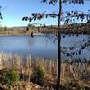 View of the lake from the West Trail.