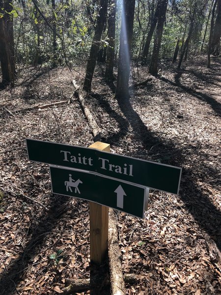 Current trail name.