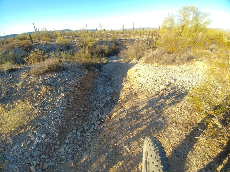 This is the south (northbound) entrance into a large wash. Off camber and varies based on rain and OHV use.