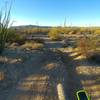 Short steeper section that often has large rocks in the trail dislodged by OHVs.