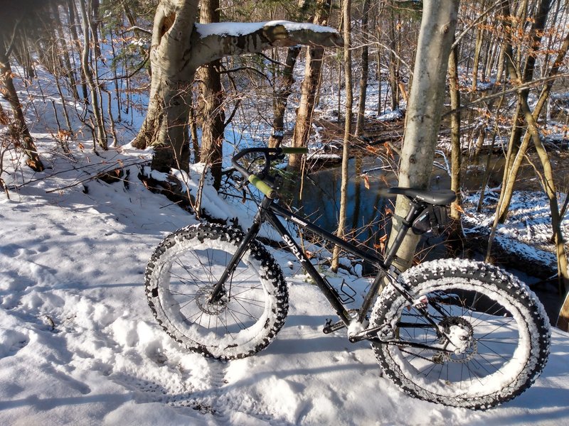 Above the stream on Oxbow