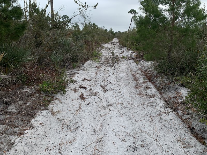 Example of better trail condition.