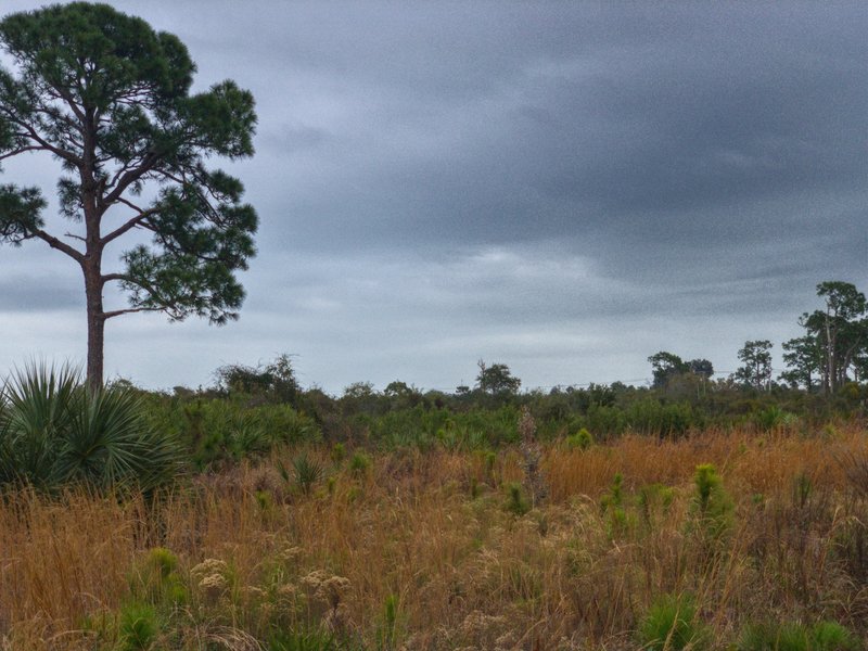 View from trail, storms coming this way.