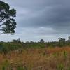 View from trail, storms coming this way.