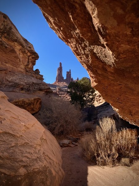 An unusual view of Monster Tower and Washerwoman Arch from Buck Canyon