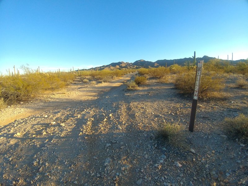 Northern terminus of 8112H looking south towards the Little Ajo Mountains from 8112F.