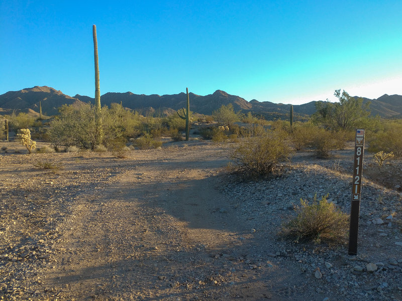 Looking south from the northern terminus of Floaty McZebratail (8112I).