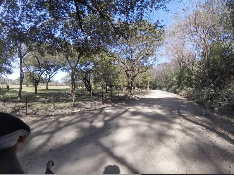 Wonderful cattle land doubletrack passing Nosara MTB singletrack (private property, permit required).