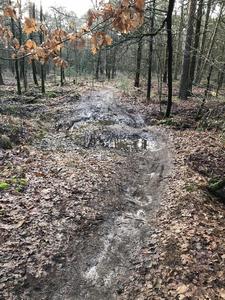 Muddy piece of singletrack.