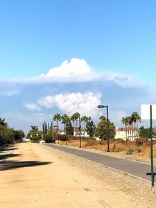 Open trails during fire