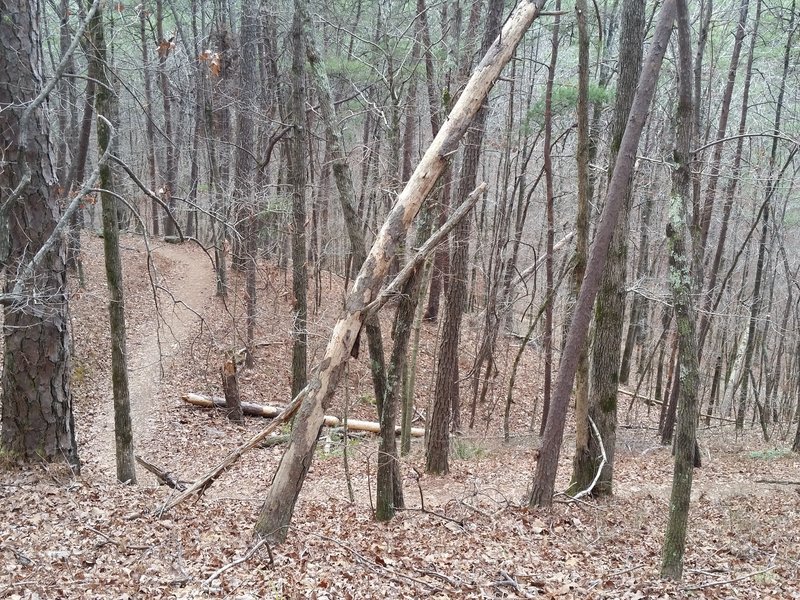 Random shot of a flowing trail.