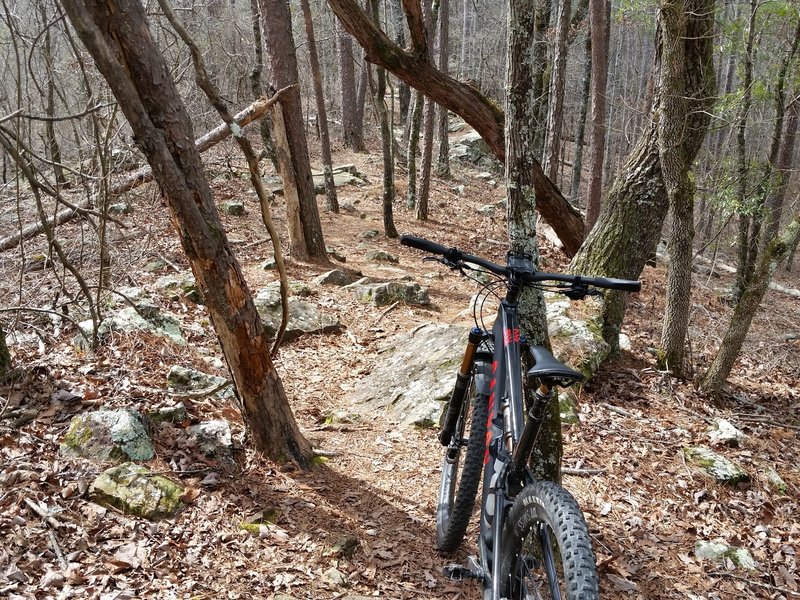 The Furnace Quarry Trail is delightfully technical.