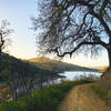 Breathtaking view at Oak Cove Trail