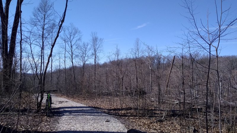 Some the logged areas of the trail.