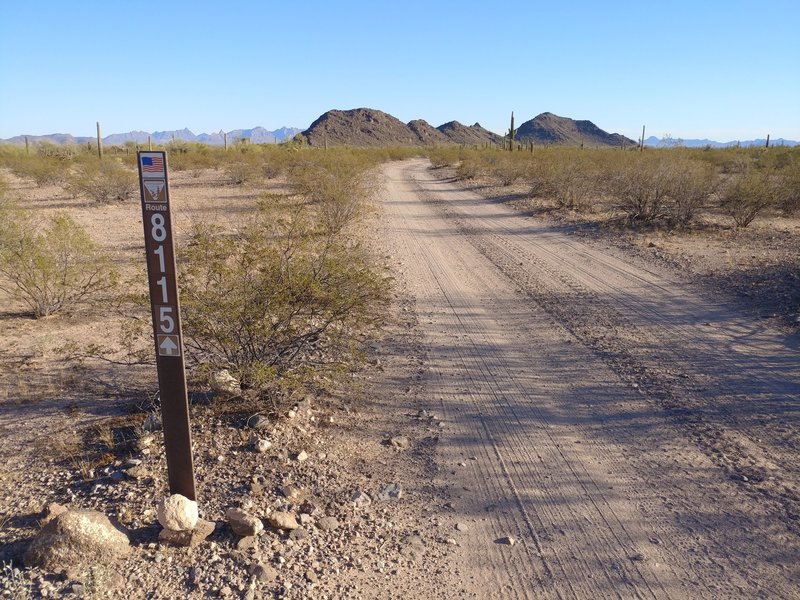 Western terminus of 8115 looking from Bates Well Road southeast.