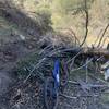 Downed tree near end of trail before the shooting area. Good turnaround spot. You may see or hear shooters across the canyon.