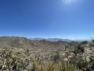 Views from the Ridgeline Loop of the Catalina Mountains.