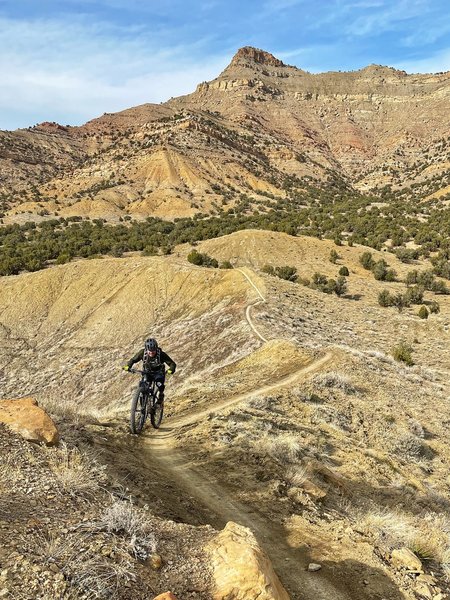 One of the few uphill sections of Joe's. Of all the 18rd trails, I like the Joe's/Mojo line the best. Couldn't stop giggling on the way down.