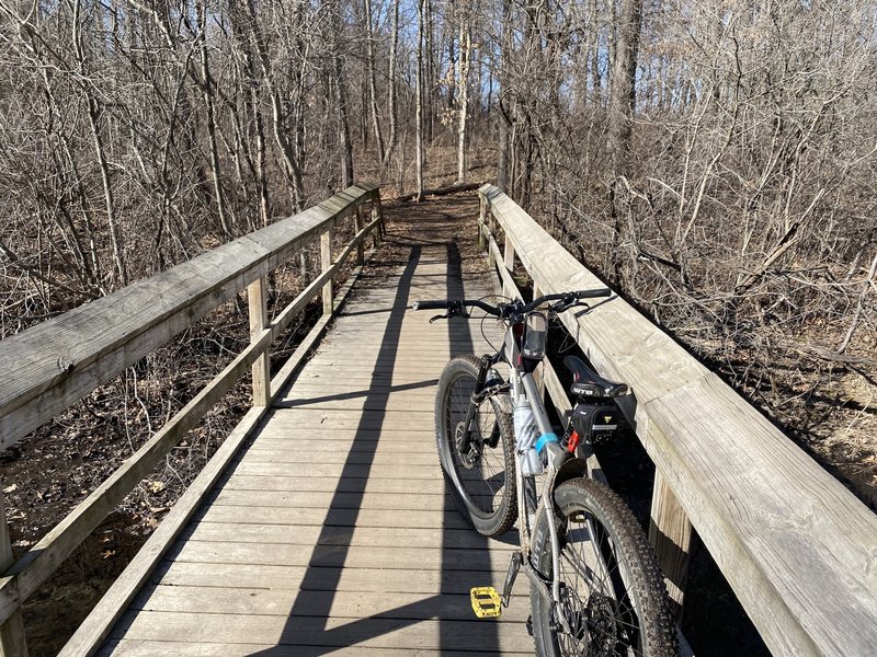 Two way traffic on the bridge to lost loop. Great trails!