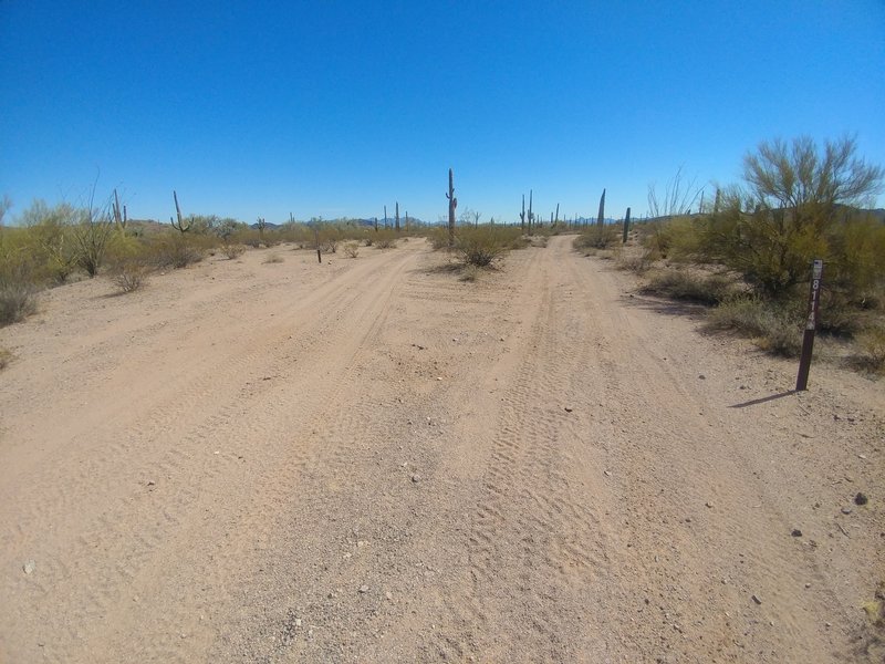 Intersection of Valentine Well (BLM 8114, to south / right) & Matt's Loop East (8114A, to SSE, left) as looking south from Valentine Well Trail.