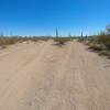 Intersection of Valentine Well (BLM 8114, to south / right) & Matt's Loop East (8114A, to SSE, left) as looking south from Valentine Well Trail.