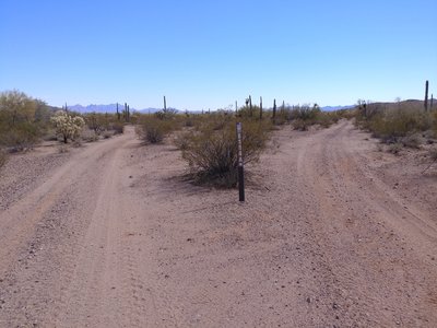 Split of BLM 8114A (to south/right) and continuation of Matt's Loop East (to southeast/left) looking south from the intersection.