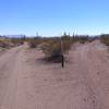 Split of BLM 8114A (to south/right) and continuation of Matt's Loop East (to southeast/left) looking south from the intersection.