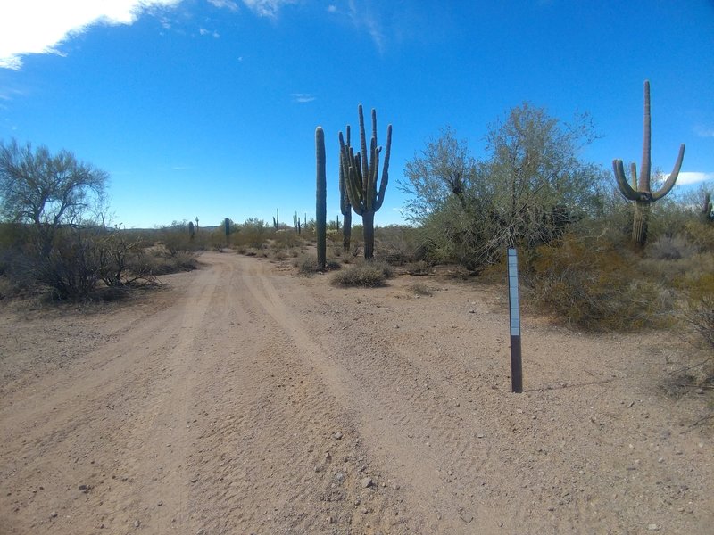 Matt's Loop East intersection with BLM 8114E. BLM marker is faded and extremely difficult to read as of Mar. 2021.