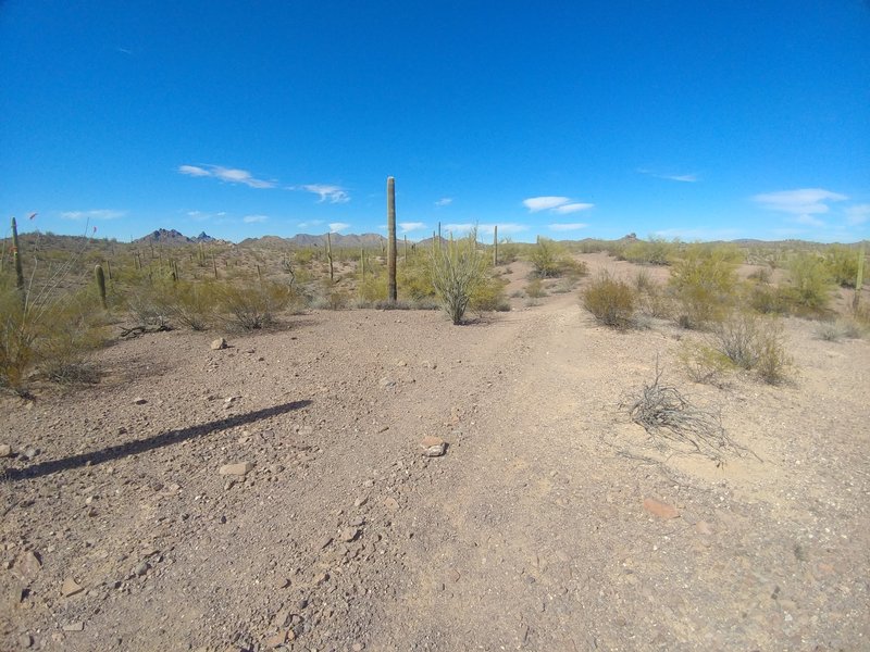 Looking north from the north end of Largarto, not too far from where the turn down to Fattie's Delight begins. Note Locomotive Rock in the distance, center right, just right of where the trail disappears in the photo.