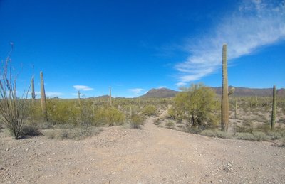 Looking east from the intersection of Lagarto & Lagarto East.