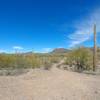 Looking east from the intersection of Lagarto & Lagarto East.