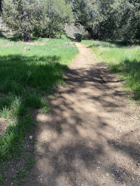 This is the beginning of the trail.