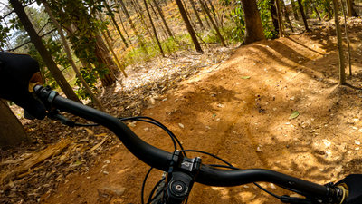 Berm section